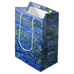 Onderdonk - Cloudy Day, Bluebonnet San Antonio