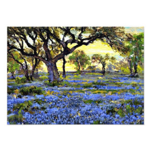 Onderdonk - Old Live Oak Träd och Bluebonnet Fototryck
