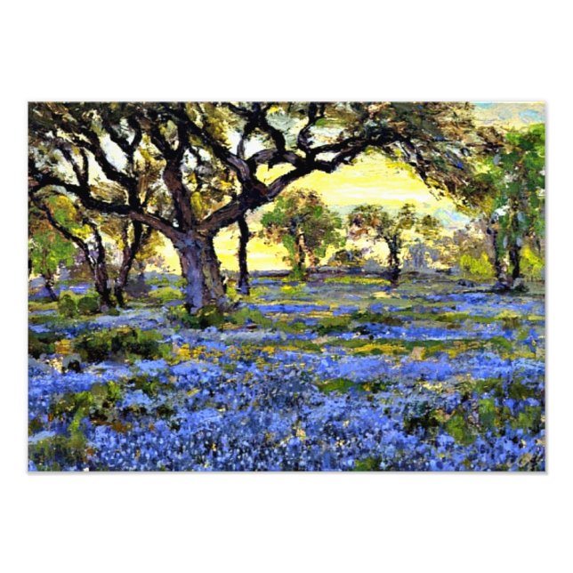 Onderdonk - Old Live Oak Träd och Bluebonnet Fototryck (Framsidan)