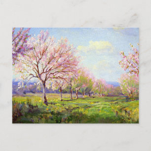 Onderdonk - Peach Orchard Vykort