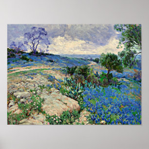 Onderdonk - Texas Liggande med blå nät Poster