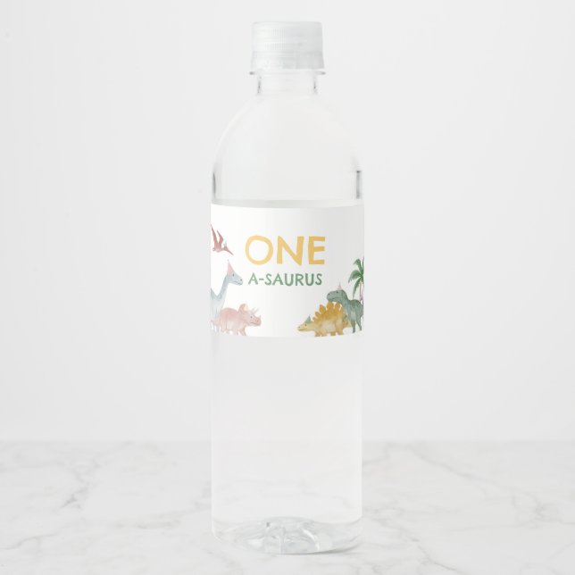 One A Saurus Dinosaur Boy Birthday  Vattenflaskor Etikett (Framsida)