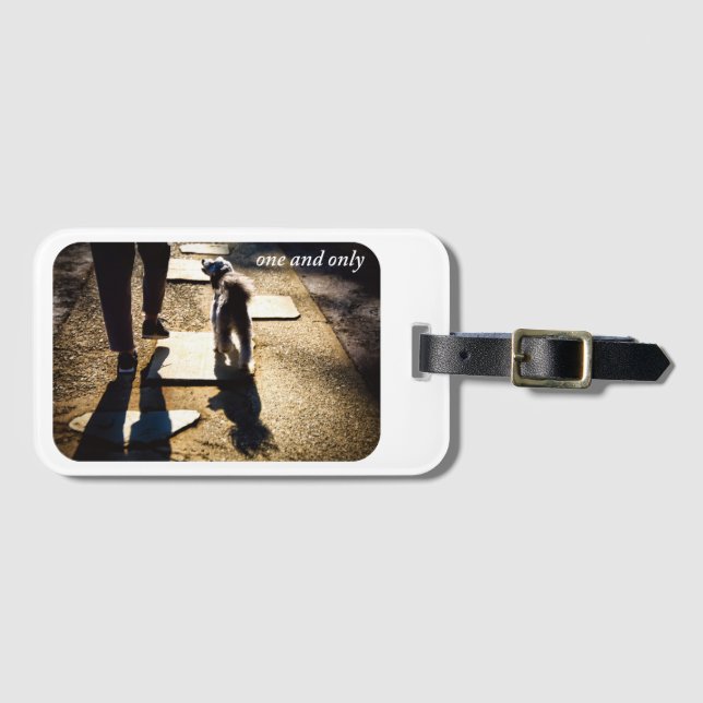 one and only 犬と散歩のラゲッジタグ bagagebricka (Framsida horisontal)