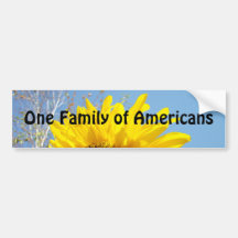 One Family of Americans dekaler