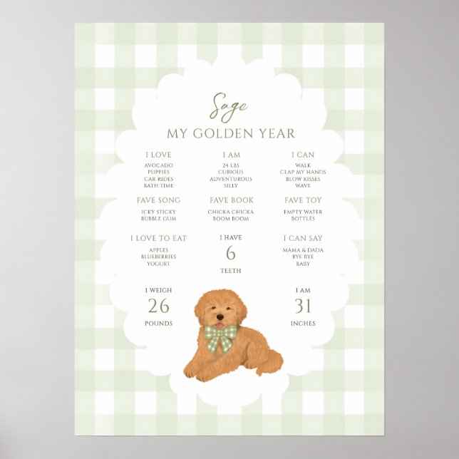 One Golden Year Puppy Dog 1st Birthday Milestone  Poster (Framsidan)