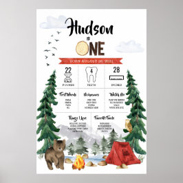 One Happy Camper 1-års födelsedags milstolpsdiagra Poster