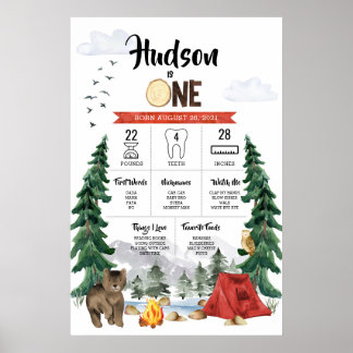 One Happy Camper 1-års födelsedags milstolpsdiagra Poster