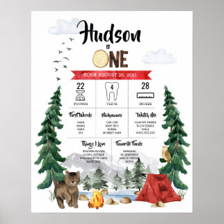 One Happy Camper 1-års födelsedags milstolpsdiagra Poster