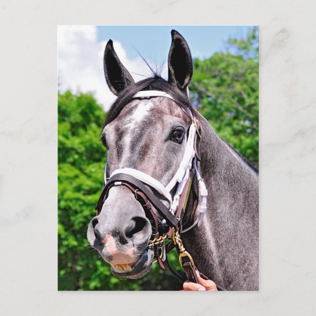 One Kung Man Vykort (Framsida)