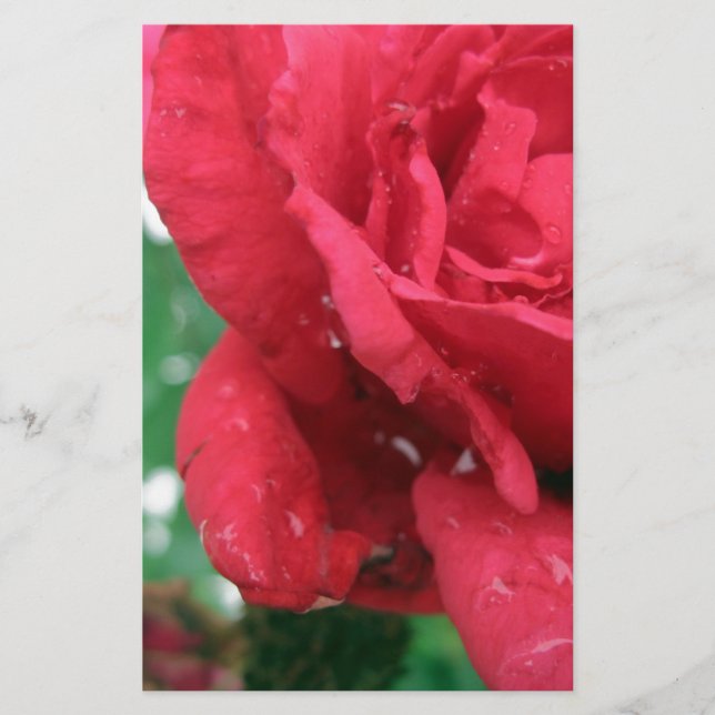 One Röd ros Brevpapper (Framsida)