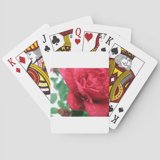 One Röd ros Casinokort (Baksidan)