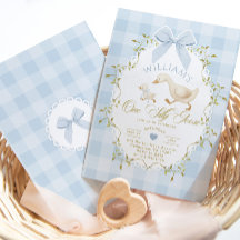 One Silly Goose Blue Gingham Boy 1st Birthday