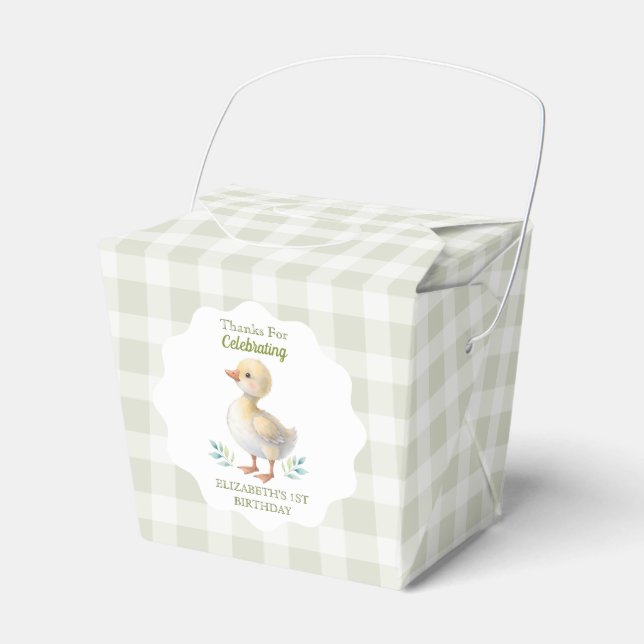 One Silly Goose Green Gingham Baby First Birthday Presentaskar (Framsidan Sidan)