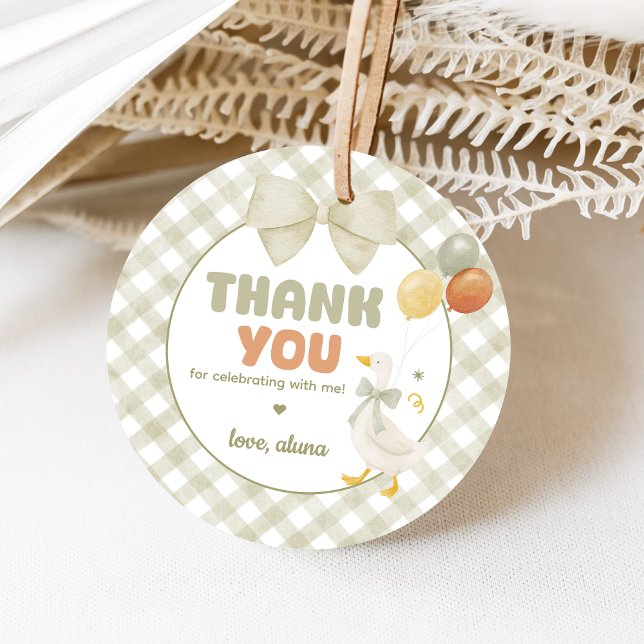 One Silly Goose Spring Birthday Gåvor Etiketter (One Silly Goose Birthday Party Favor Tags)