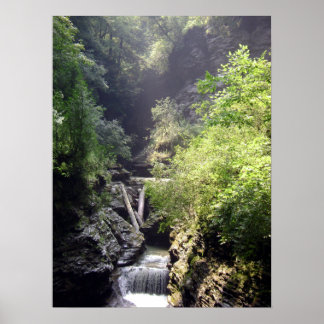 ONE SUMMER'S DAY IN THE GLEN. NO.2  POSTER 2011
