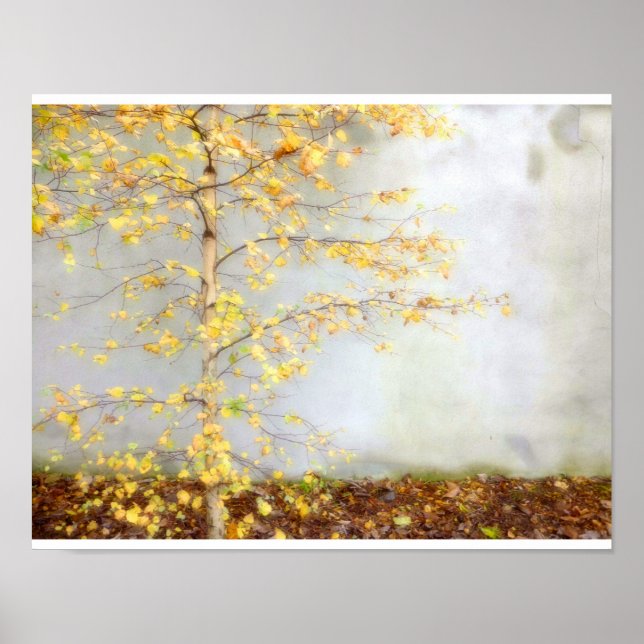 One Träd Poster (Framsidan)