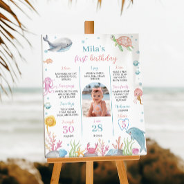 Oneder Sea Pastel Birthday Milestone Sign Poster