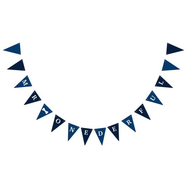 Onederful Birthday Banner Vimplar (Alla)