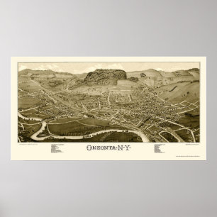 Oneonta panorama- karta för NY - 1884 Poster