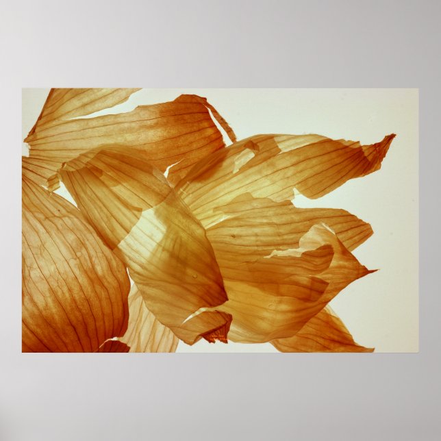 Onion Skin Poster (Framsidan)