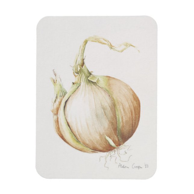 Onion Study 1993 Magnet (Vertikal)