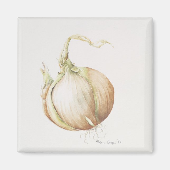 Onion Study 1993 Magnet (Framsidan)