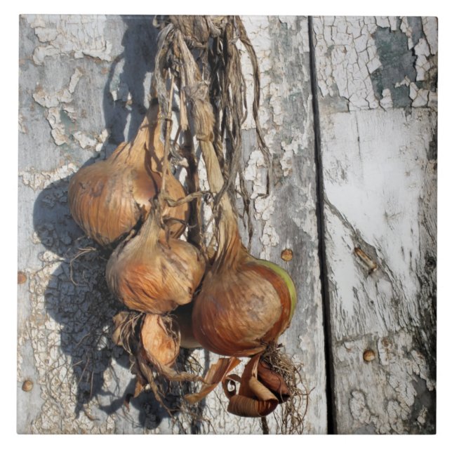 ONIONER KAKELPLATTA (Framsidan)