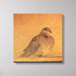 Onocent Moment Canvastryck