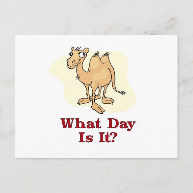 Onsdag Hump Day Vykort (Framsida)