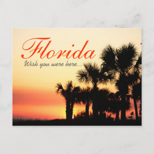 Önska att du var här - Florida handflatan träd sol Vykort