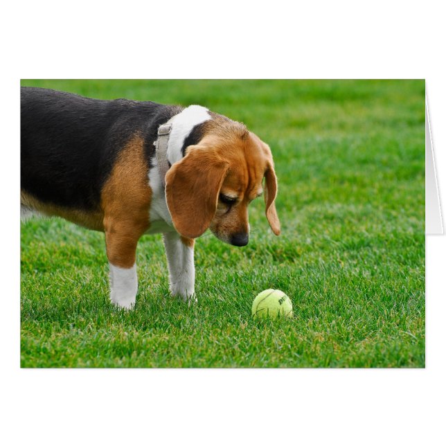 Önska att leka? hälsningskort (Framsidan Horizontal)