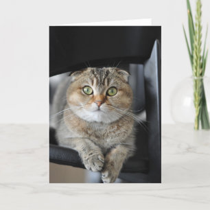 Önska dig grattis på födelsedagen kort