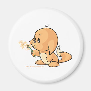 Önska orange Kacheek Magnet