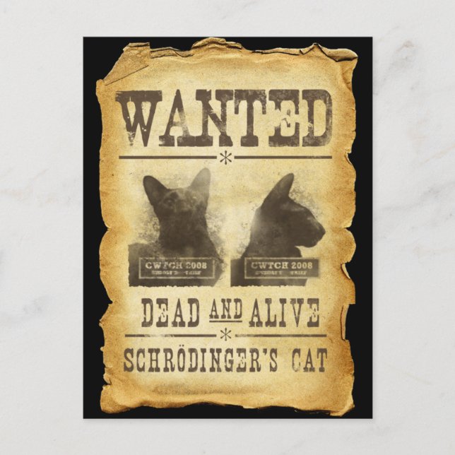 Önskad dead och vid liv.  Schroedingers cat. Vykort (Framsida)