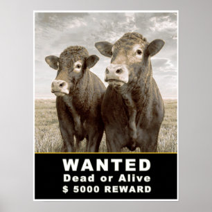ÖNSKAD död eller vid liv $ 5000 BELÖNING Poster