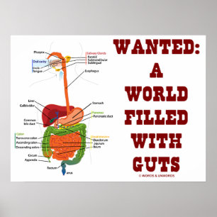 Önskad: en värld fylld med tarmar (Anatomiska tarm Poster