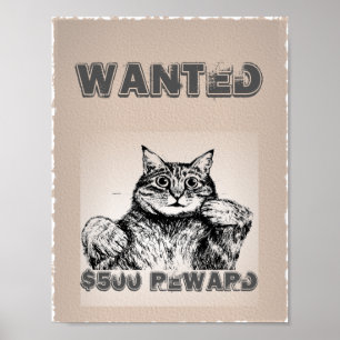 Önskad rolig katt poster