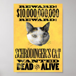 ÖNSKAD: SCHRODINGERS KATTposter Poster