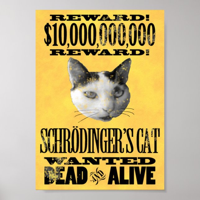 ÖNSKAD: SCHRODINGERS KATTposter Poster (Framsidan)