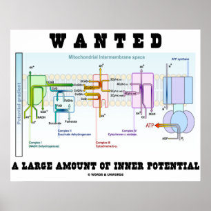 Önskad stor inneboende potential poster