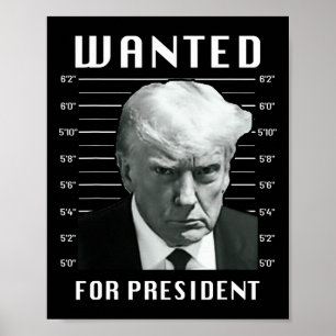 Önskad trump för president - Trump Mugg Shot Aldri Poster