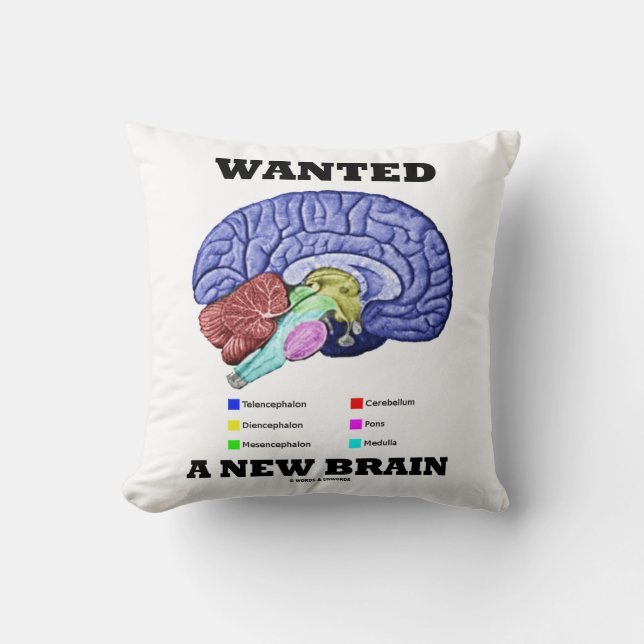 Önskade en ny hjärna (den Anatomical Kudde (Framsida)