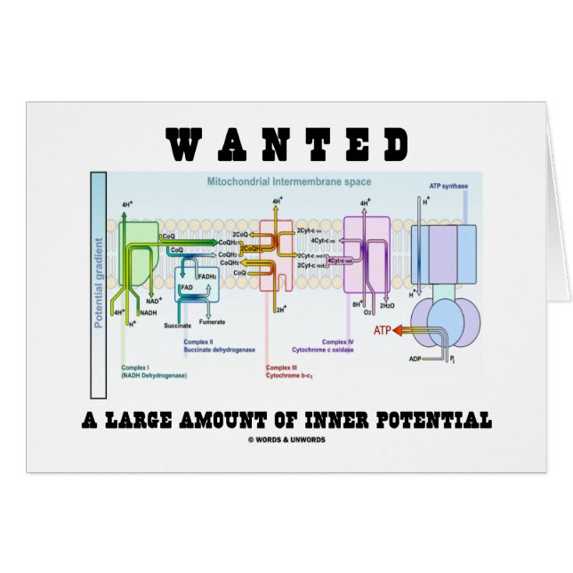 Önskade ett stort belopp av inre potentiellt hälsningskort (Framsidan Horizontal)