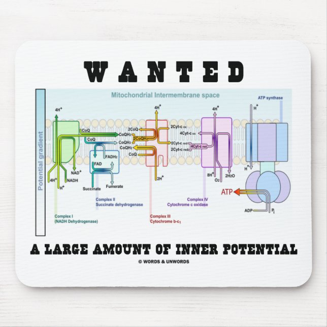 Önskade ett stort belopp av inre potentiellt musmatta (Framsidan)