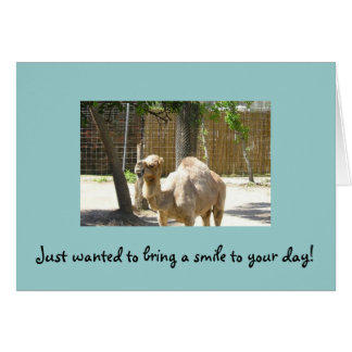 Önskade precis att komma med ett leende till din hälsningskort