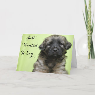 Önskade precis till något att säga tackar dig tack kort