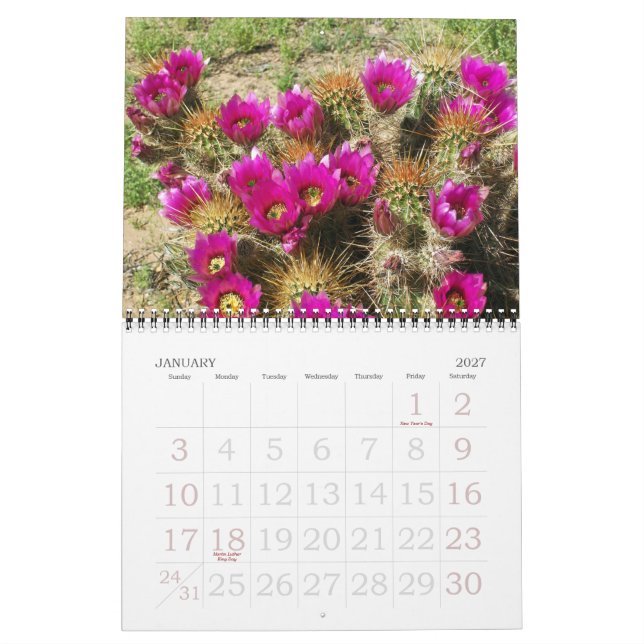 ÖNSKAN I BLOOM KALENDER (Jan 2027)