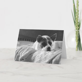 Önskar att du var här. kort