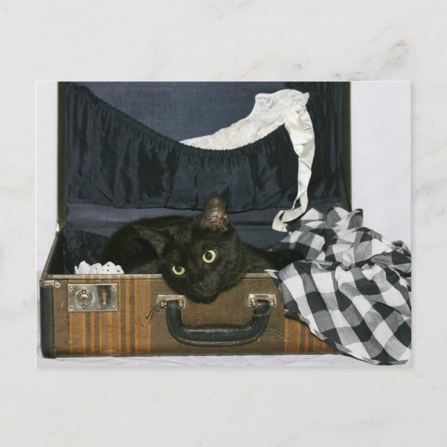 Önskar att du var här vykort (Framsida)