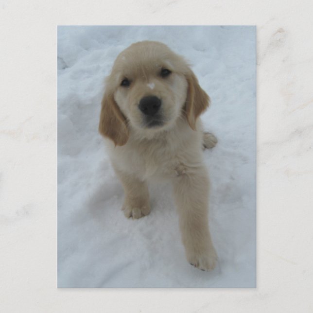 Önskar att du var här vykort (Framsida)